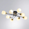 A8141PL-8BK Потолочная люстра Arte Lamp ANDREA A8141PL-8BK