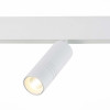 ST365.536.12 Магнитный трековый светильник белый LED 1*12W 3000K 1 020Lm Ra>90 36° IP20 L-xW44xH130