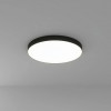 A7399PL-1BK Потолочный светильник Arte Lamp FADO A7399PL-1BK