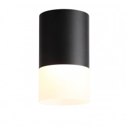 Светильник потолочный ST100.402.05 ST-Luce Черный