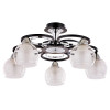 Люстра потолочная A1604PL-5BK Arte Lamp Черный