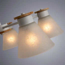 Люстра потолочная A1031PL-5WH Arte Lamp Белый