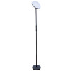 Торшер A1822PN-1BK Arte Lamp Черный
