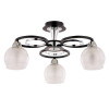 Люстра потолочная A1604PL-3BK Arte Lamp Черный