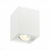 ST109.507.01 Светильник потолочный Белый GU10 1*50W L100xW100xH123 220V Без ламп
