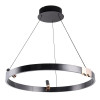 Люстра подвесная A1993SP-30BK Arte Lamp ЧЕРНЫЙ, ГРАФИТ, ЗОЛОТО