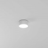 A6612PL-1WH Потолочный светильник Arte Lamp FADO A6612PL-1WH