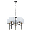 A4090LM-5BK Подвесная люстра Arte Lamp JAMIE A4090LM-5BK