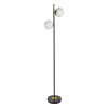 A2224PN-2BK Торшер Arte Lamp ALCOR A2224PN-2BK