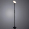 Торшер A1822PN-1BK Arte Lamp Черный