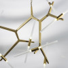 Люстра 742143 Lightstar Матовое золото