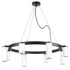 Люстра LR018364864 Lightstar Черный