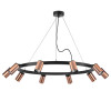 Люстра LR020300 Lightstar Черный