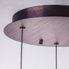 Люстра 796139 Lightstar Кофейный