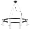 Люстра LR018864364 Lightstar Черный