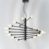 Люстра 733187 Lightstar Матовый Черный