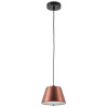 Светильник подвесной 719213 Lightstar Черный