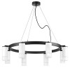 Люстра LR0183681 Lightstar Черный