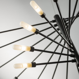 Люстра 733247 Lightstar Матовый Черный