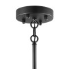 Люстра 742147 Lightstar Матовый Черный