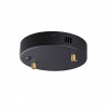 Светильник потолочный 5041/2R Odeon Light Черный