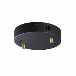 Светильник потолочный 5041/2R Odeon Light Черный