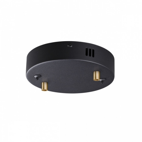Светильник потолочный 5041/2R Odeon Light Черный