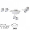 Люстра 8235/6C Lumion Металл