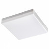 358688 OVER NT21 333 белый Светильник накладной влагозащищенный IP54 LED 4000K 20W 100-240V PANDORA