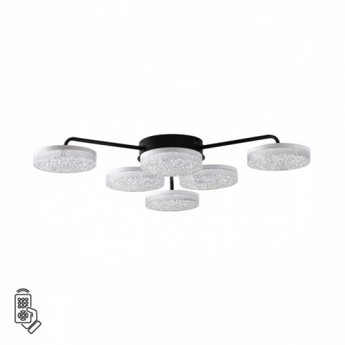 Люстра 8236/6CL Lumion Металл, акрил