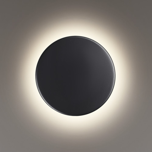 Светильник настенный 5237/6WL Lumion Черный