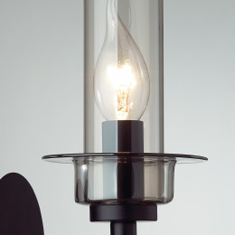 Светильник настенный 6555/1W Lumion Черный, дымчатый