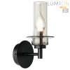Светильник настенный 6555/1W Lumion Черный, дымчатый