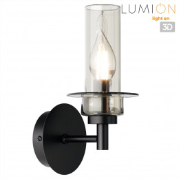 Светильник настенный 6555/1W Lumion Черный, дымчатый