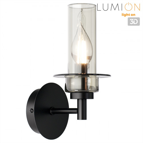 Светильник настенный 6555/1W Lumion Черный, дымчатый