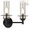 Светильник настенный 6555/2W Lumion Черный, дымчатый