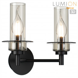 Светильник настенный 6555/2W Lumion Черный, дымчатый
