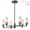 Люстра 6555/6C Lumion Черный, дымчатый