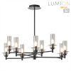Люстра 6555/9C Lumion Черный, дымчатый