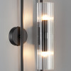 Светильник настенный 6561/2W Lumion Черный, прозрачный