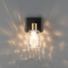 Светильник настенный 6562/1W Lumion Черный, золотой, прозрачный