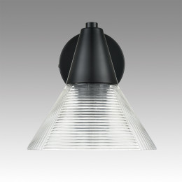 Светильник настенный 6595/1W Lumion Черный, прозрачный