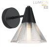 Светильник настенный 6595/1W Lumion Черный, прозрачный
