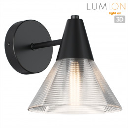 Светильник настенный 6595/1W Lumion Черный, прозрачный