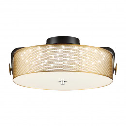 Светильник потолочный 6597/40L Lumion Черный, античная латунь