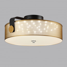 Светильник потолочный 6597/40L Lumion Черный, античная латунь