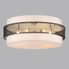 Светильник потолочный 8002/6C Lumion Черный, белый