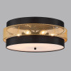 Светильник потолочный 8003/6C Lumion Черный, золотой