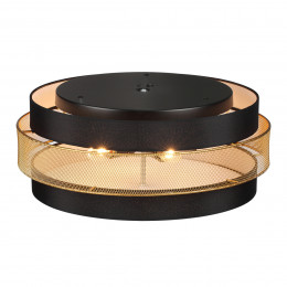 Светильник потолочный 8003/6C Lumion Черный, золотой