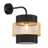 Светильник настенный 8003/1W Lumion Черный, золотой